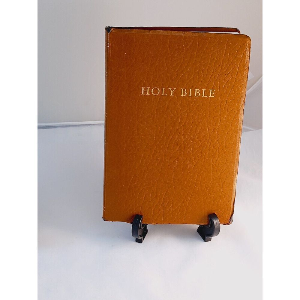Holy Bible-Holman Christian Standard HCSB Leather Gold & Read The Bible For Life
